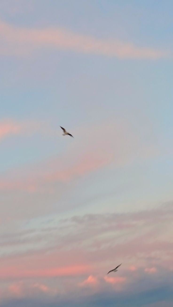 736x1307  wallpaper 38. | Розовое небо, Живописные фотографии, Пейзажи