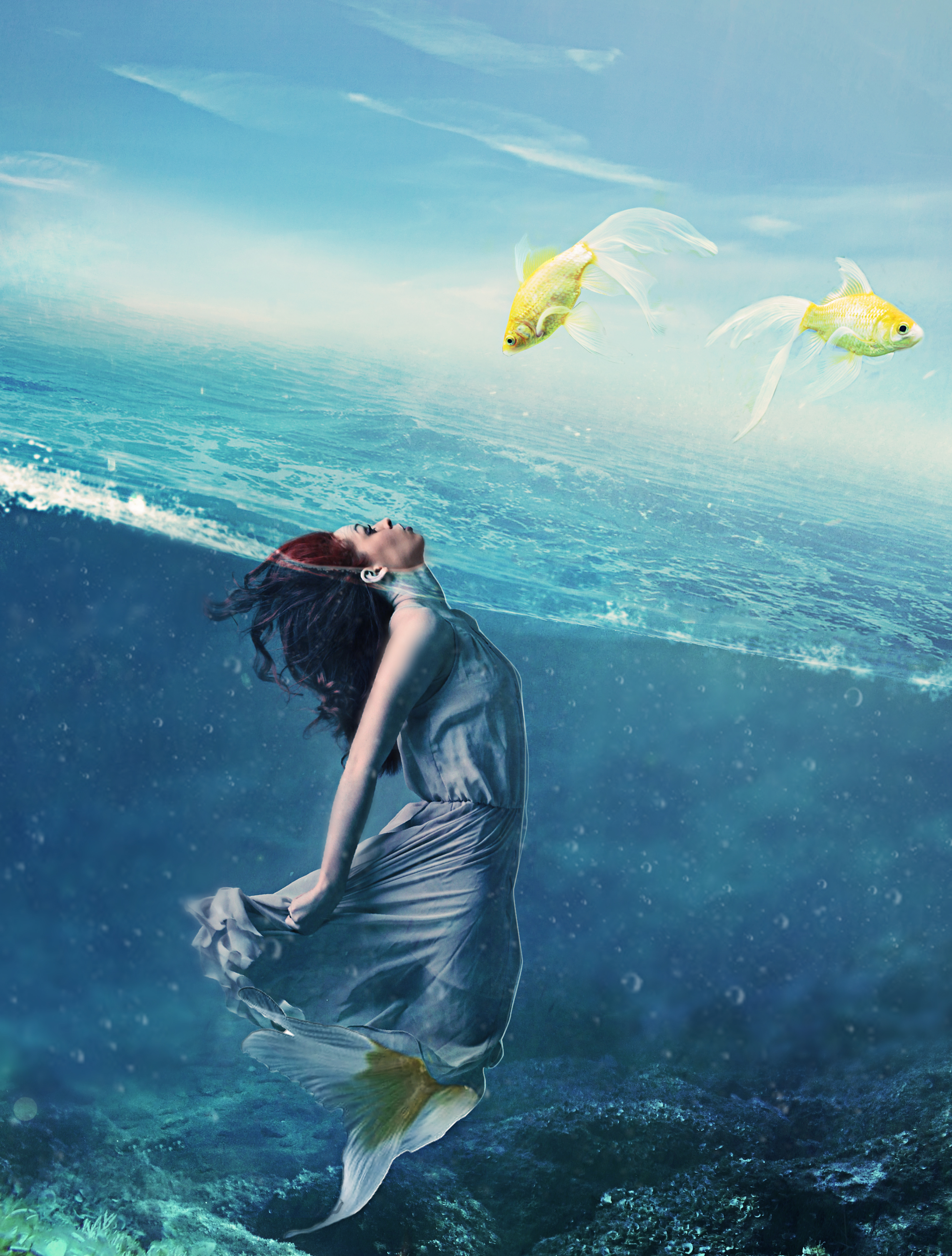 2285x3015  Фото русалка Подводный мир Фэнтези девушка Платье 2285x3015