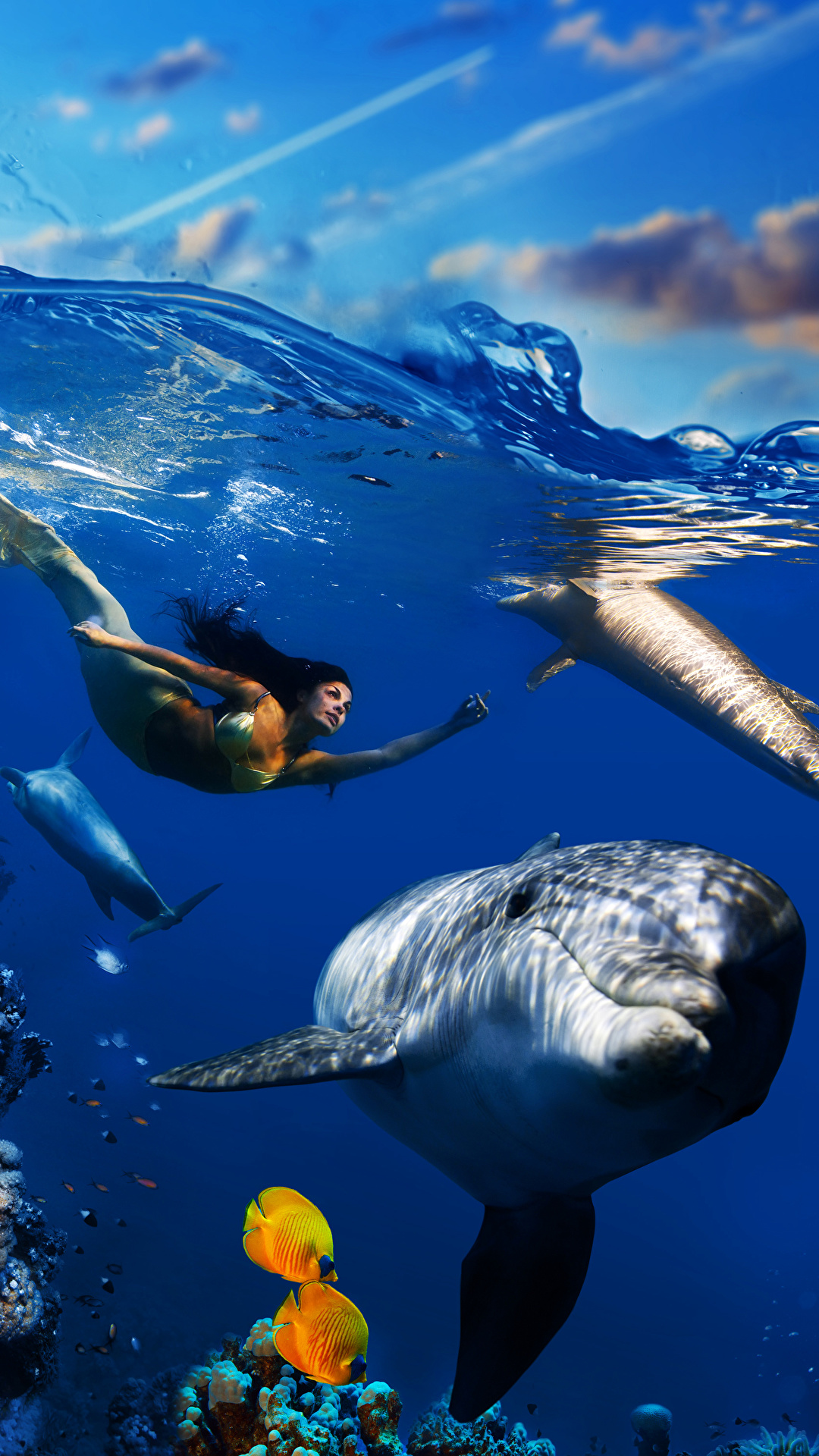 1080x1920  Русалка Мобильные обои изображение_Фото номер 400605156_JPG Формат  изображения_ru.lovepik.com