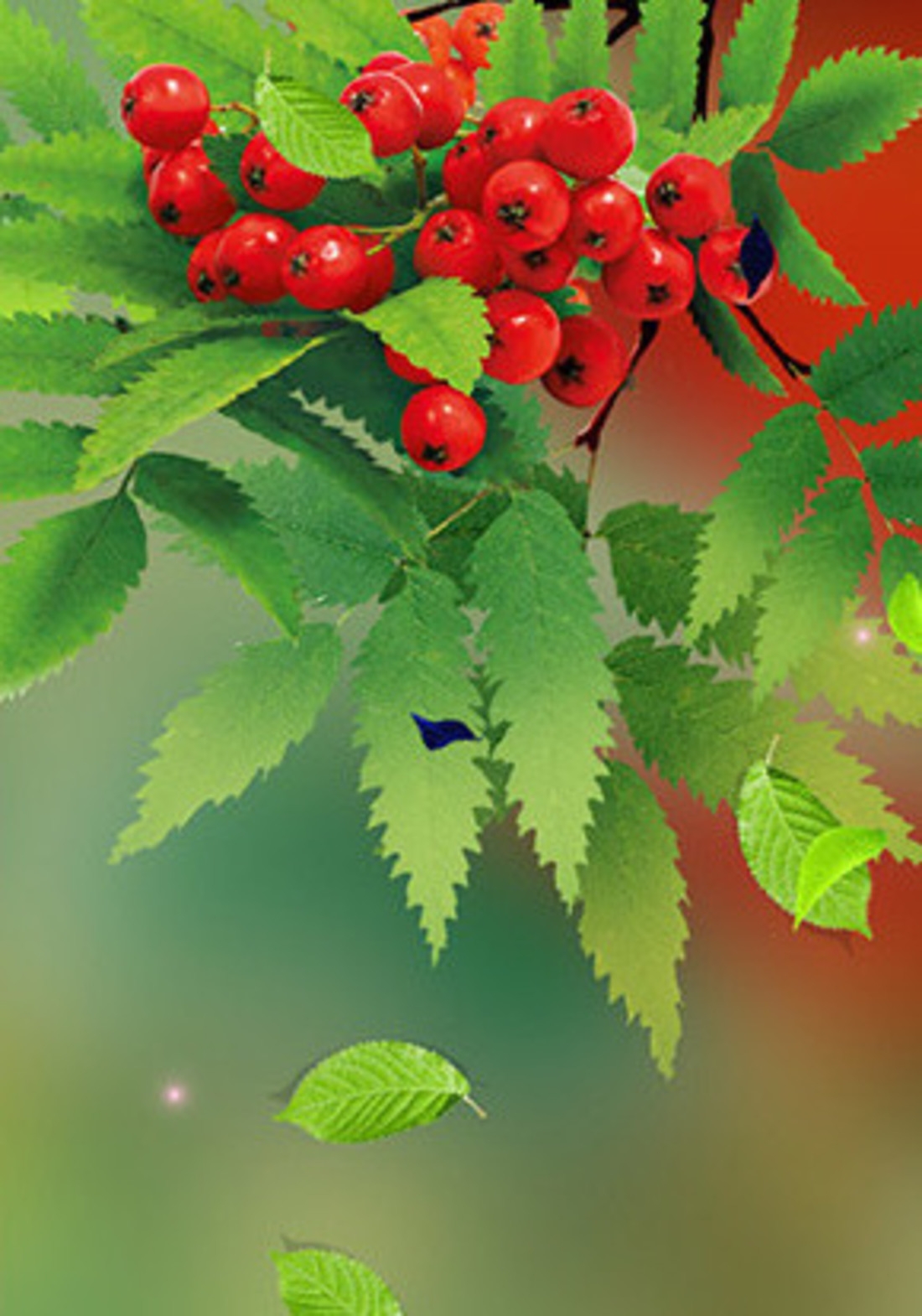 1100x1570  Обои на телефон рябина - 62 фото