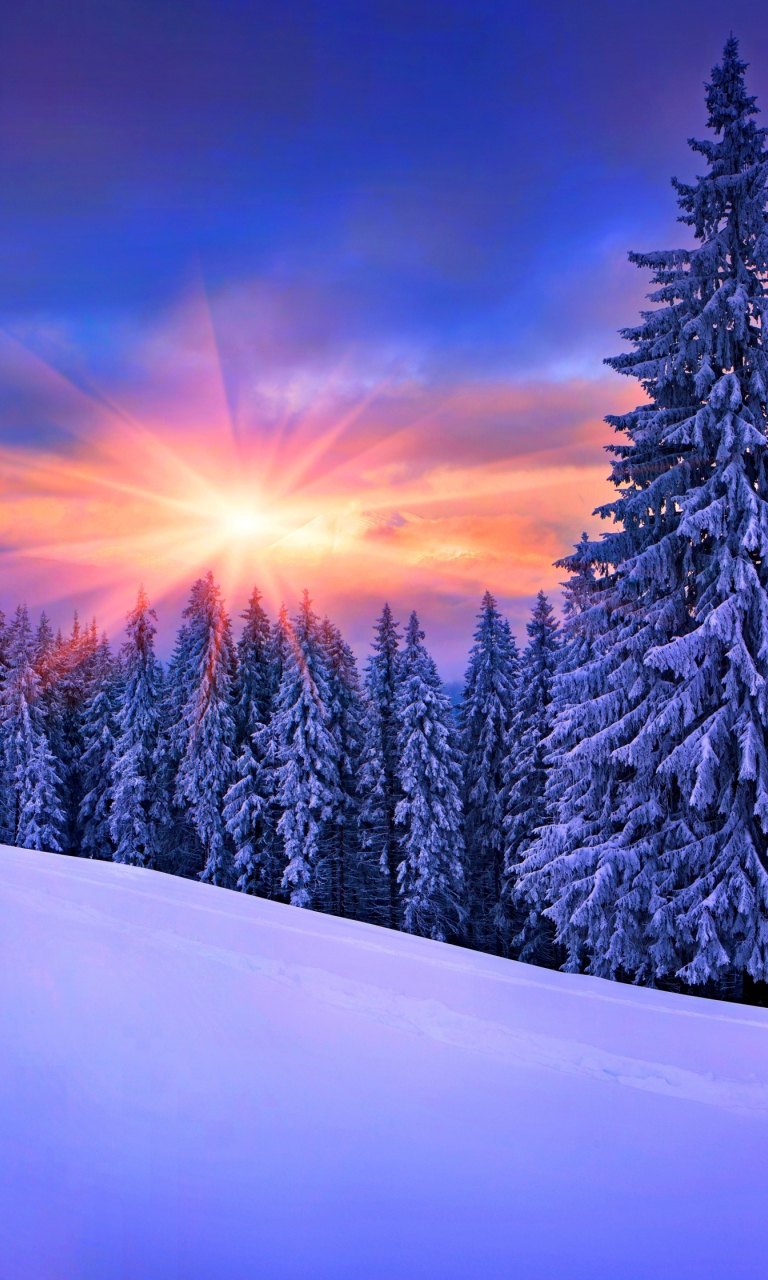 768x1280  Заставка на телефон зима красивая - фото и картинки abrakadabra.fun