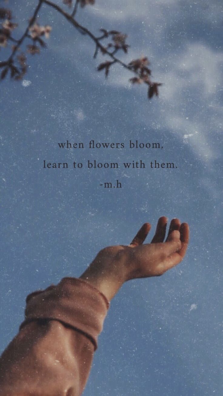 736x1308  Gghshshahz Bshshhshs (bshshhshsgghshshahz) - Profile | Pinterest