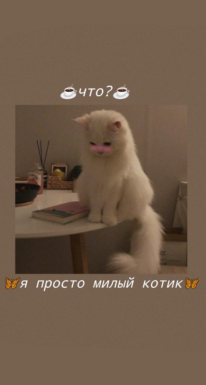 720x1344  Pin von Janeta auf Веселые картинки