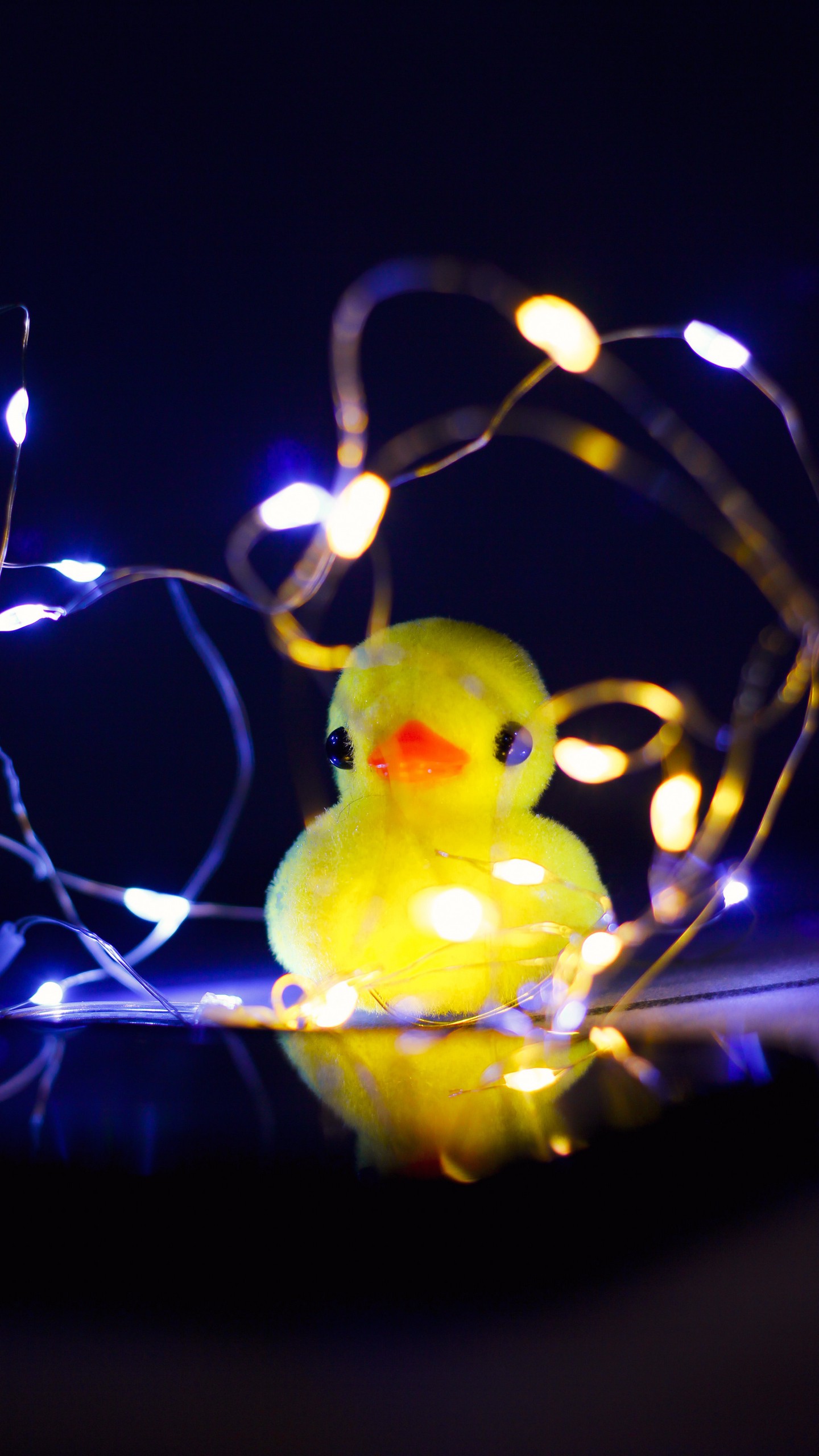 1440x2560  Обои на телефон утка, игрушка, гирлянда, свет - скачать бесплатно в высоком  качестве из категории \"Разное\"