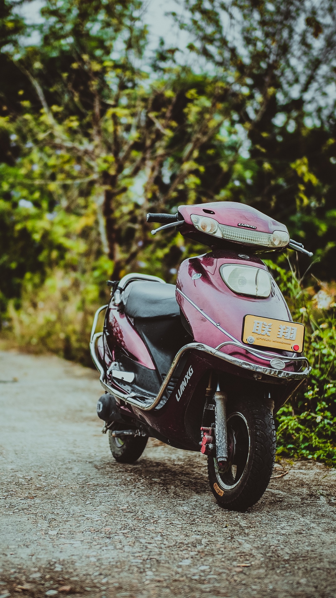 1080x1920  Самокат трюковой FHT-707 (6) (колёса 100 мм, пласт. обод, стальной T-руль)  (green/зелёный) — купить по выгодной цене в интернет-магазине Колорлон