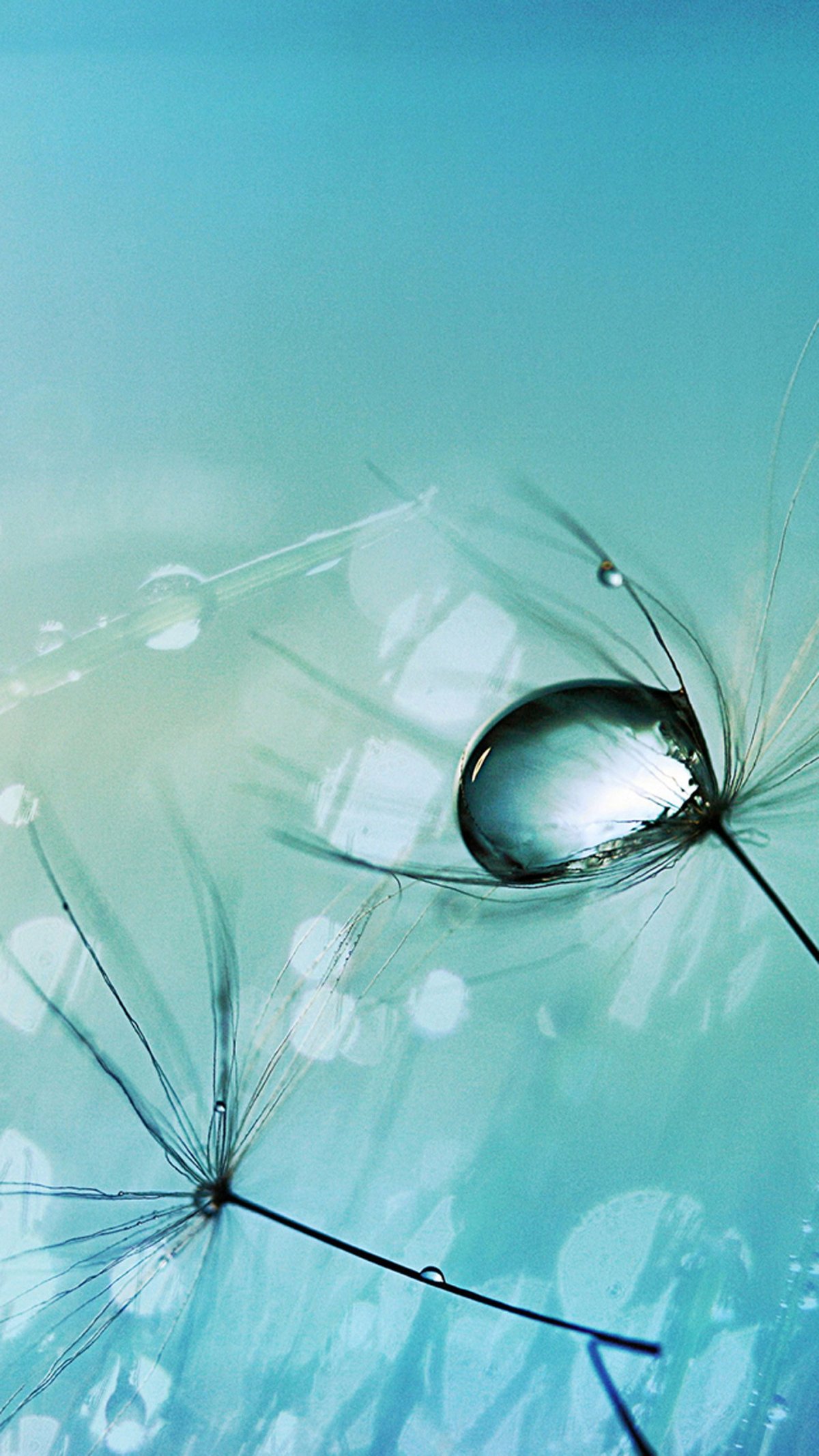 1200x2134  Красивые обои на самсунг - 75 фото