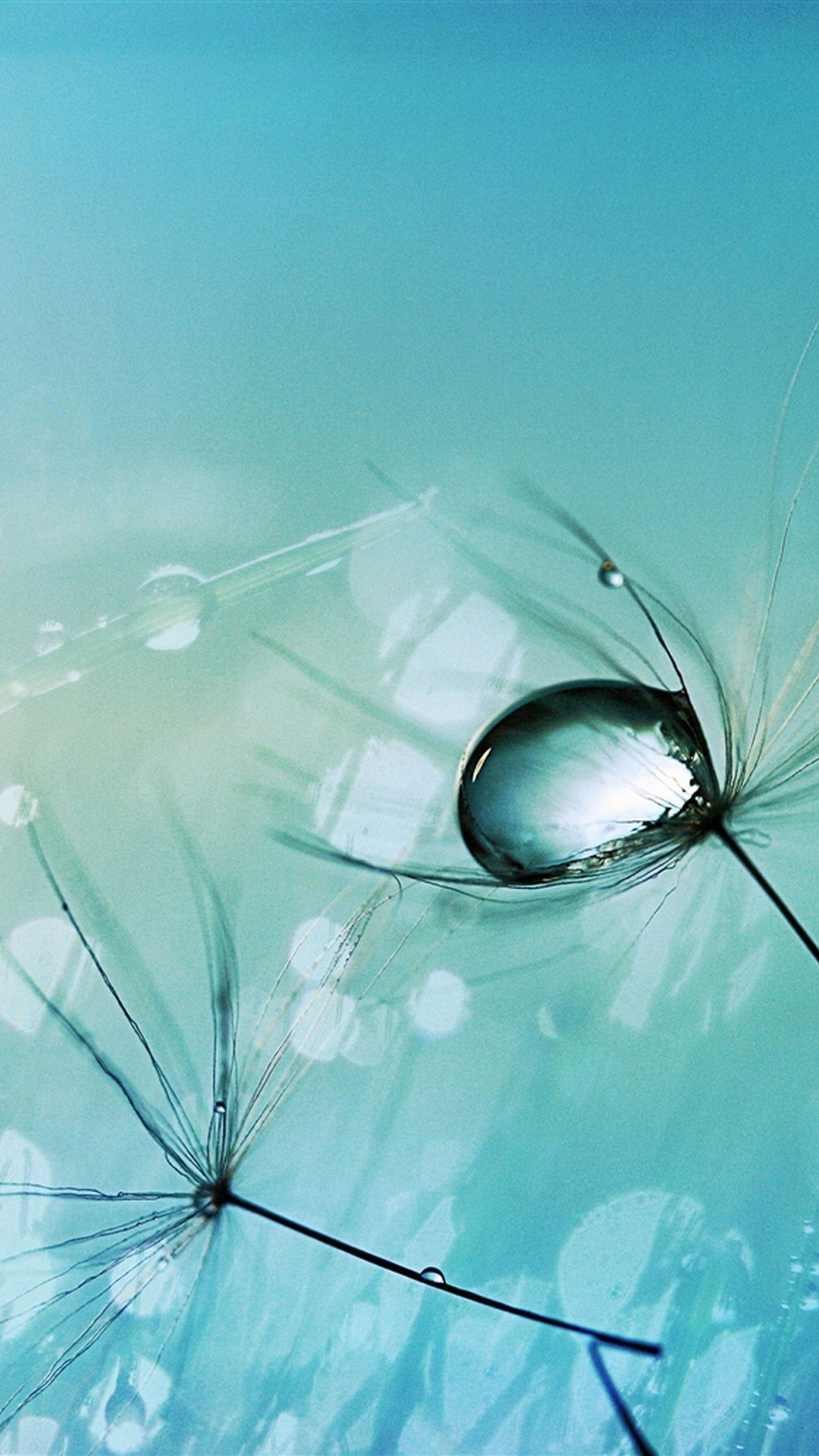 1080x1920  Картинки на рабочий стол телефона самсунг - 56 фото