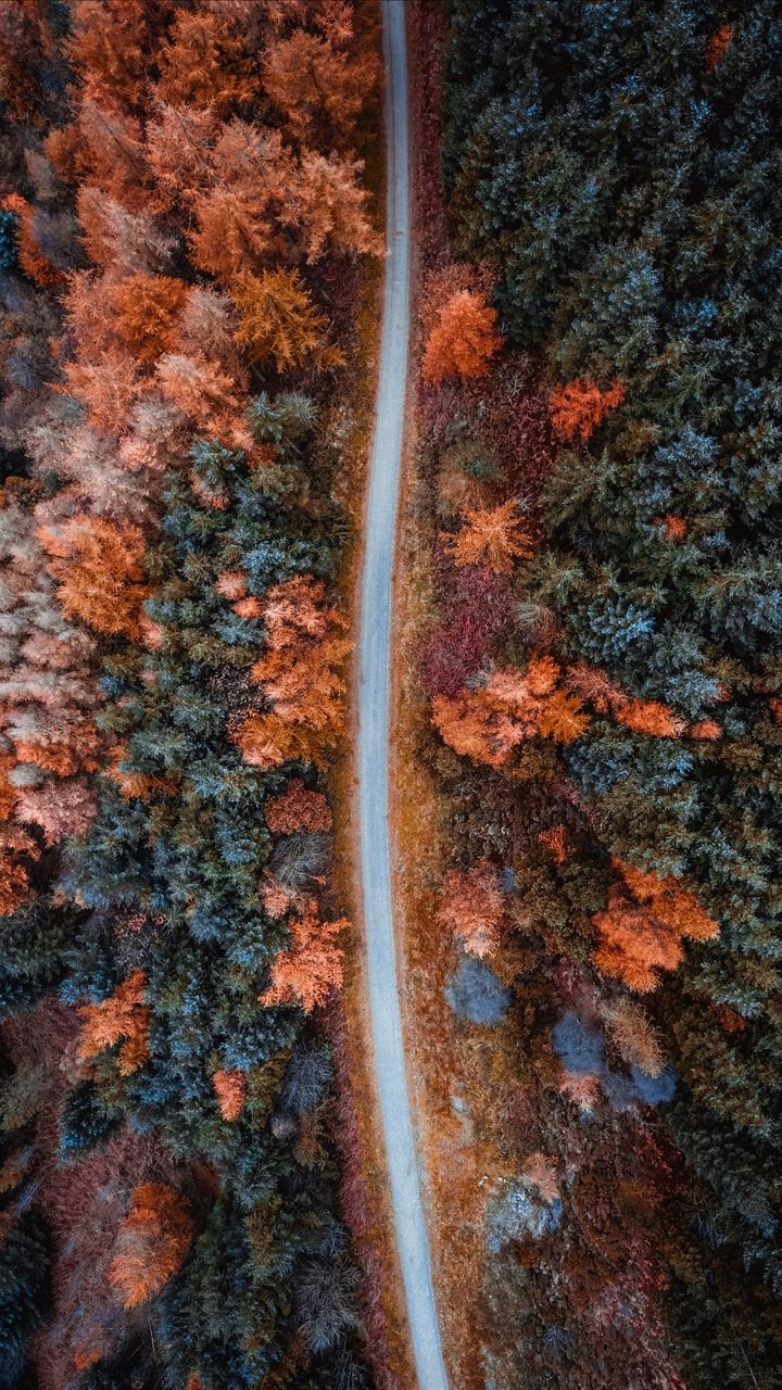 720x1280  Скачать 720x1280 осень, дорога, вид сверху, деревья, лес обои, картинки  samsung galaxy mini s3, s5, neo, alpha, sony xperia compact… | Осенние  картинки, Осень, Обои
