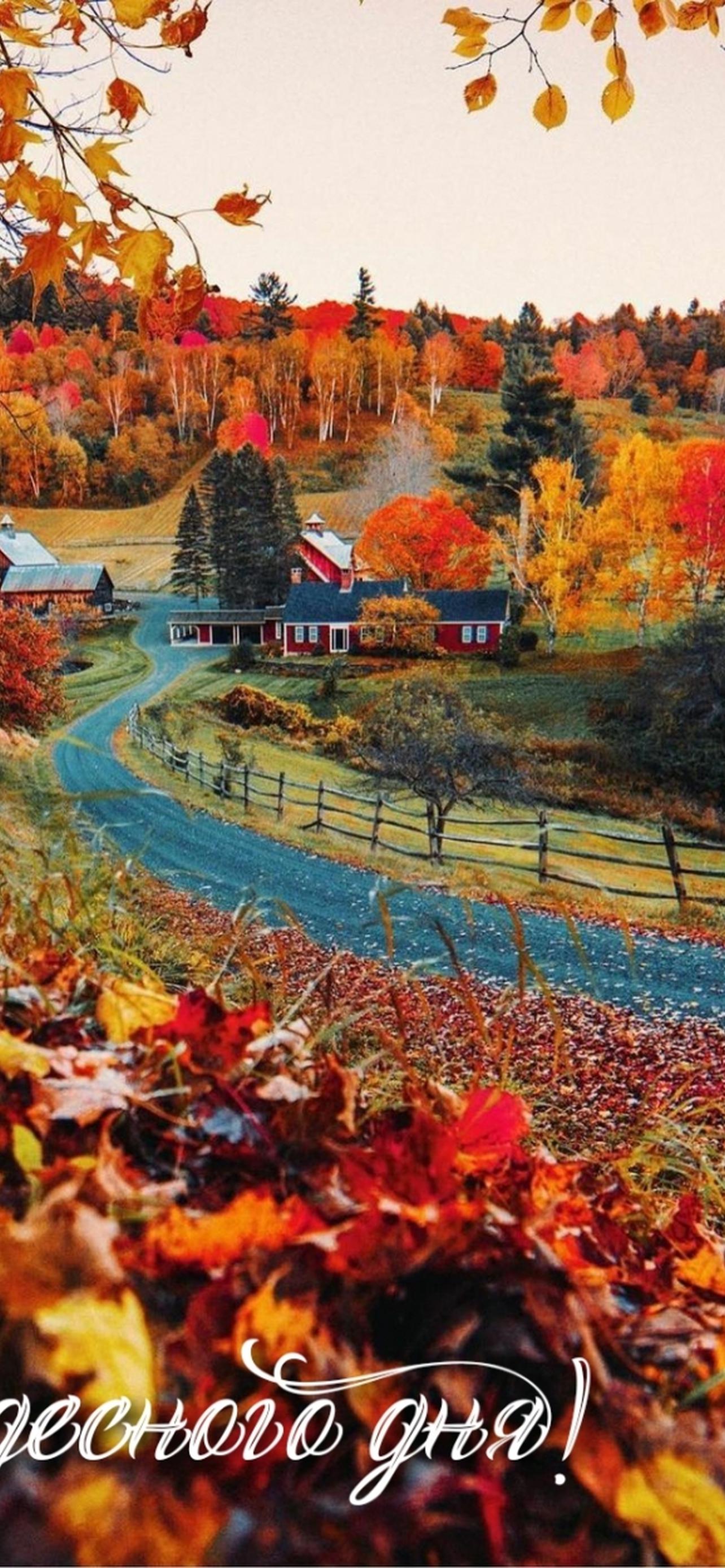 1284x2778  Красивые осень обои на телефон [27+ изображений]