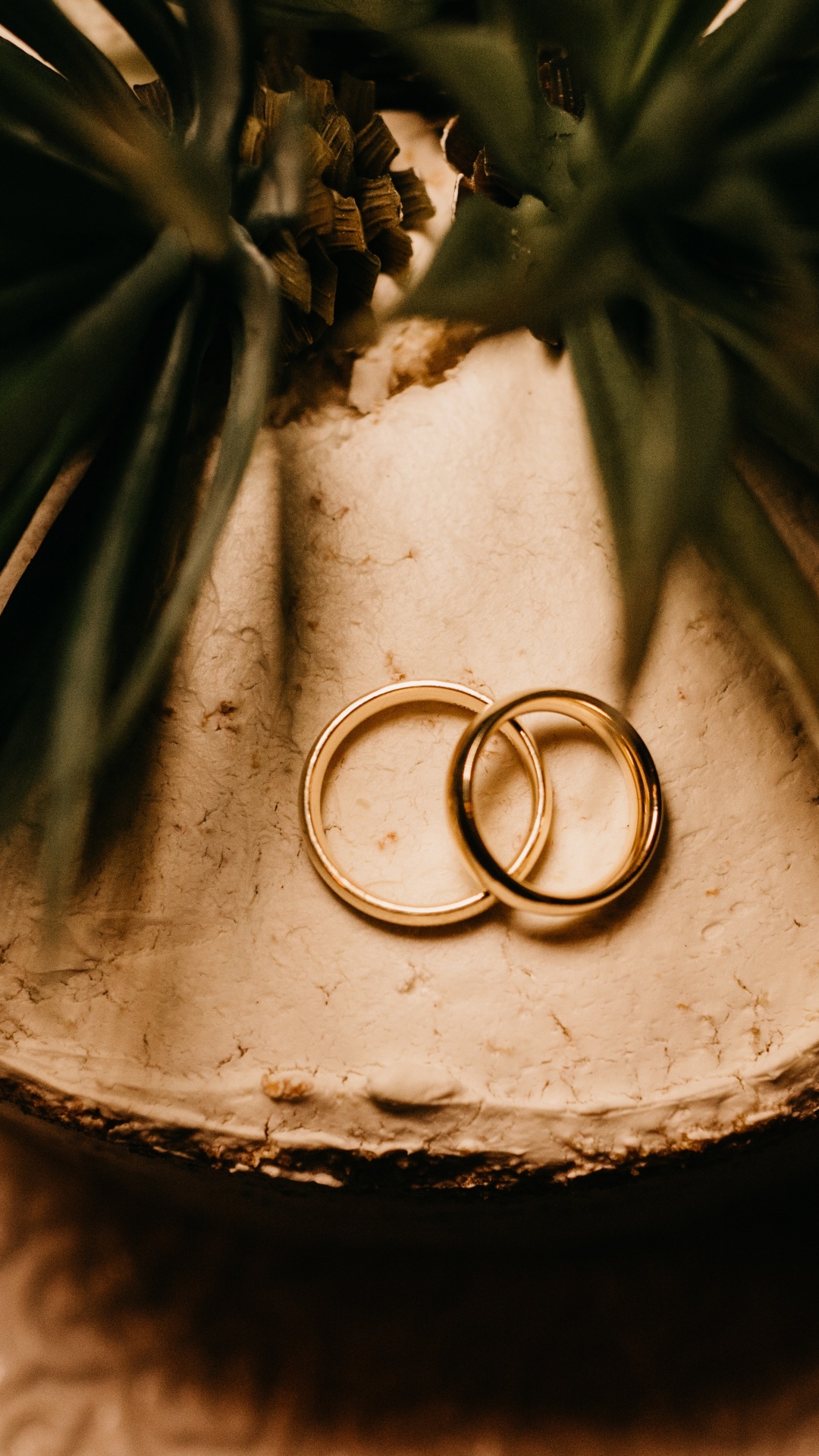 1080x1920  Свадьба обои для Андроид Full HD, лучшие 1080x1920 заставки на телефон |  Akspic