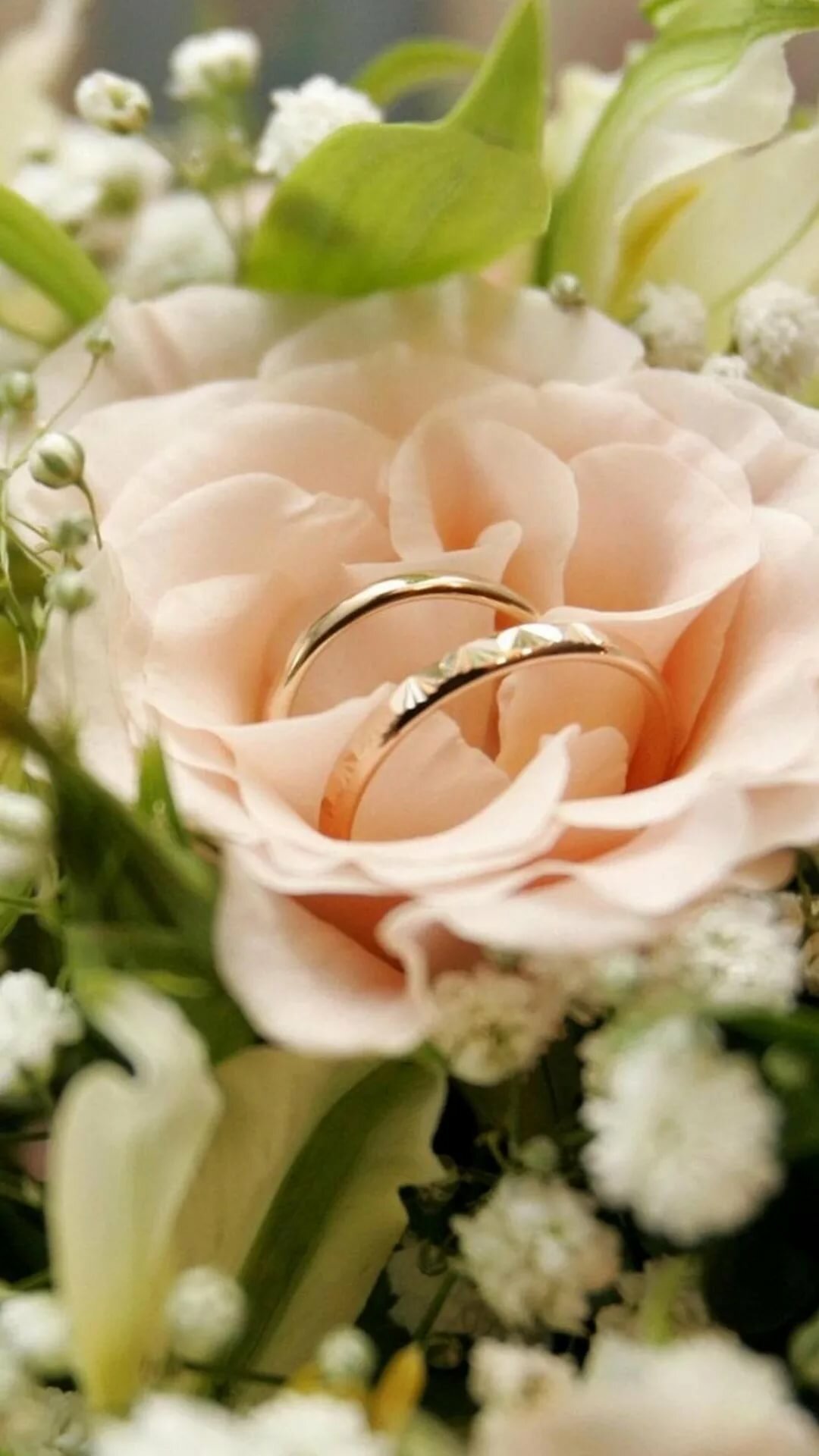1080x1920  Обои на телефон свадьба - 64 фото