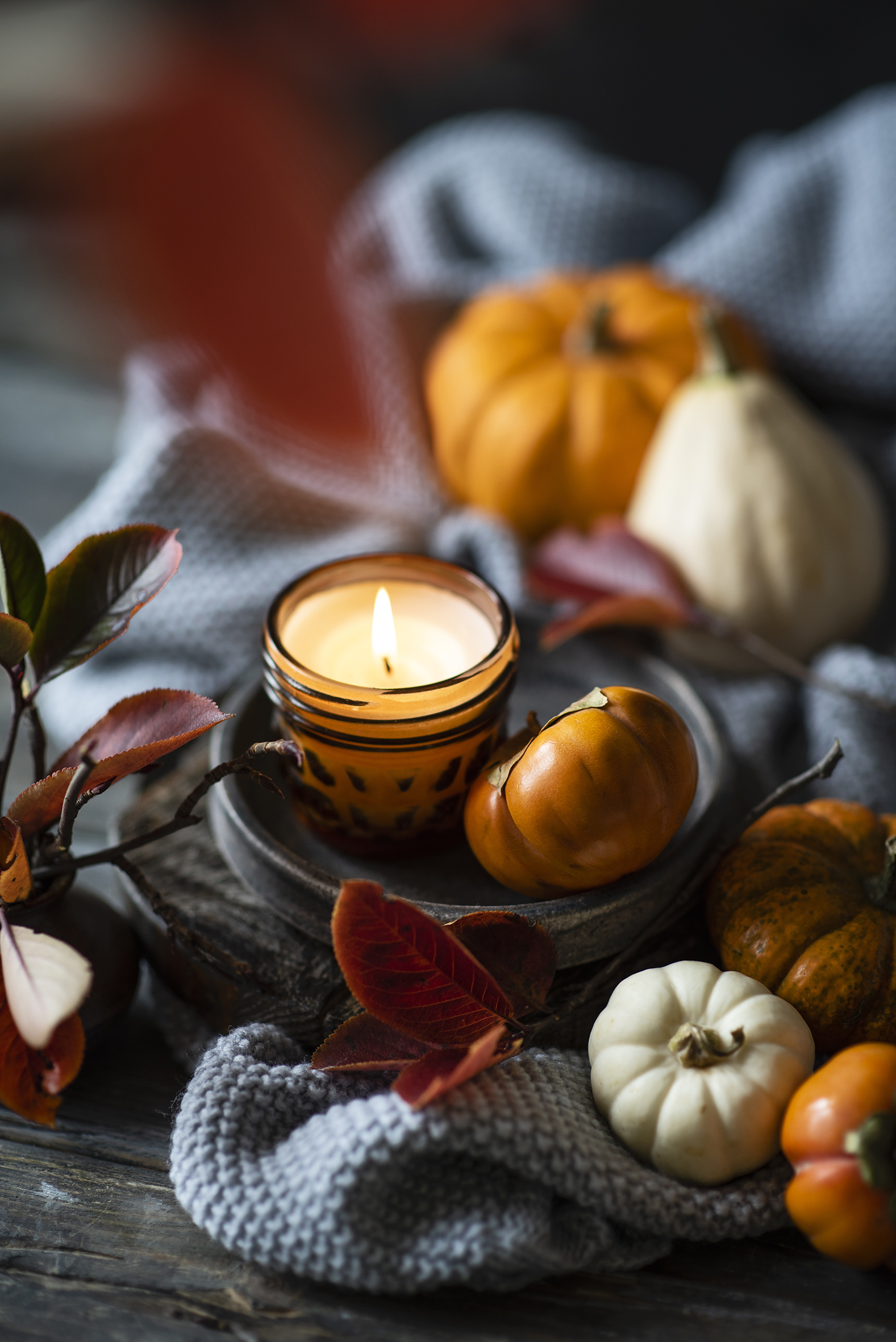 1577x2362  Фотография лист Тыква Природа Свечи