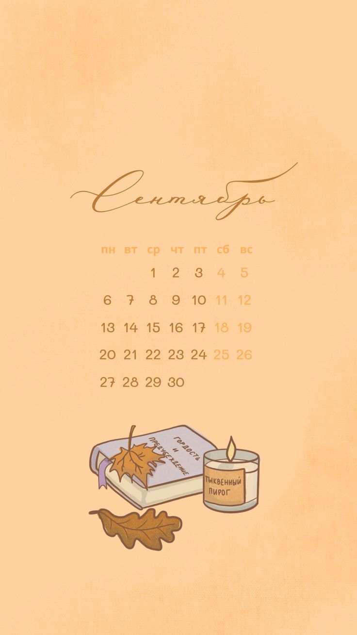 736x1308  Обои на телефон сентябрь | Дизайн карты, Хэллоуин фотографии, Обои