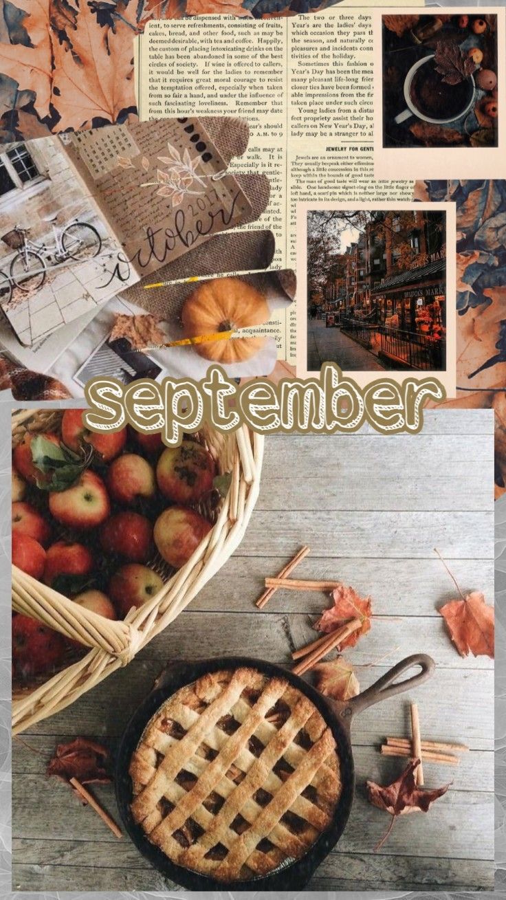 736x1309  Обои на рабочий стол телефона | Aesthetic desktop wallpaper, Iphone  background wallpaper, Motivational wallpaper