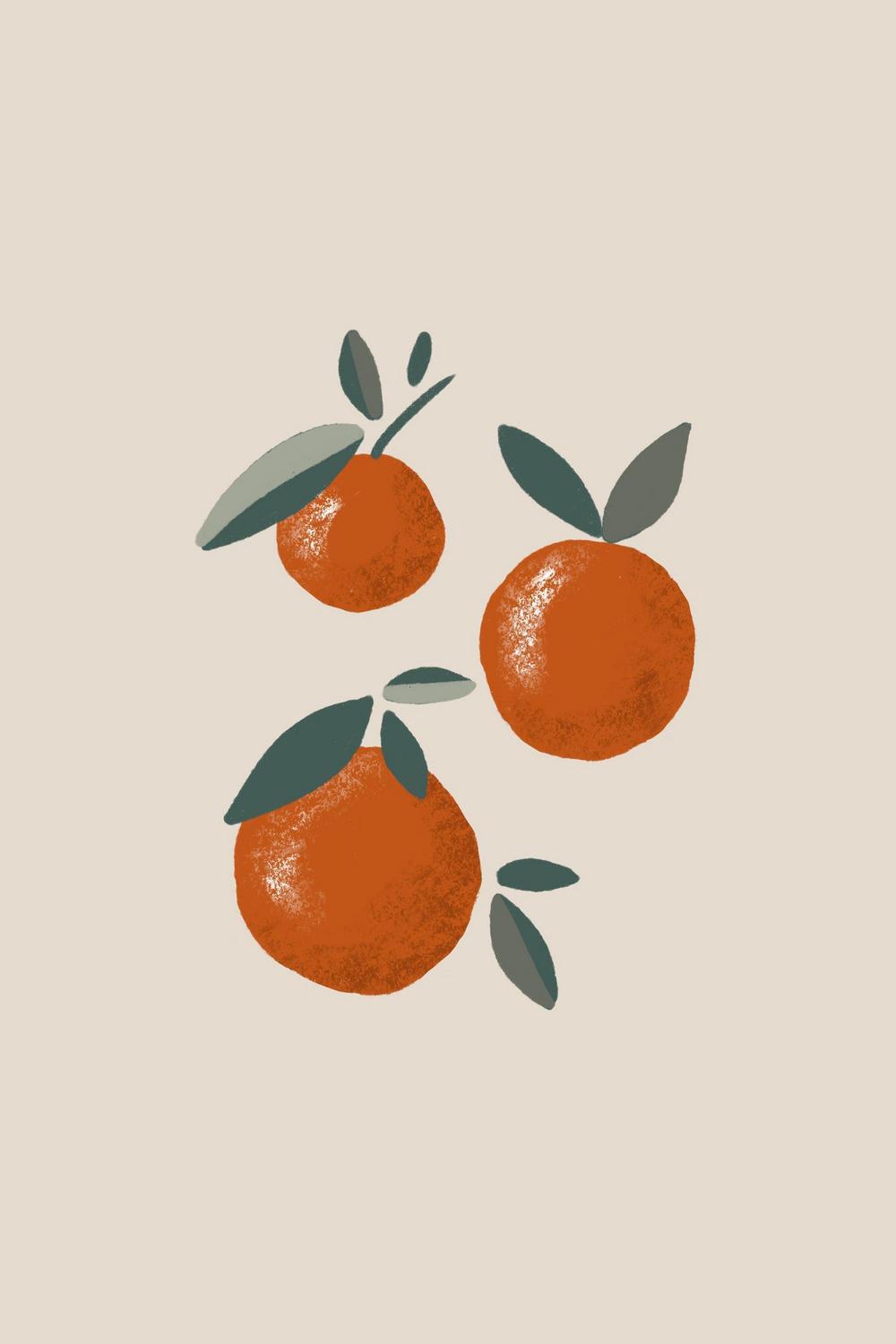 1000x1500  The Noisetier - ЗАГРУЗКИ