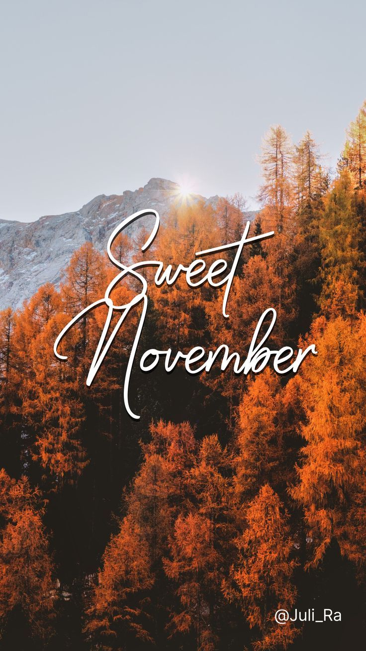 736x1308  Осенние картинки. Обои для телефона. Сладкий ноябрь | Осенние картинки,  Осенние виды, Живописные пейзажи