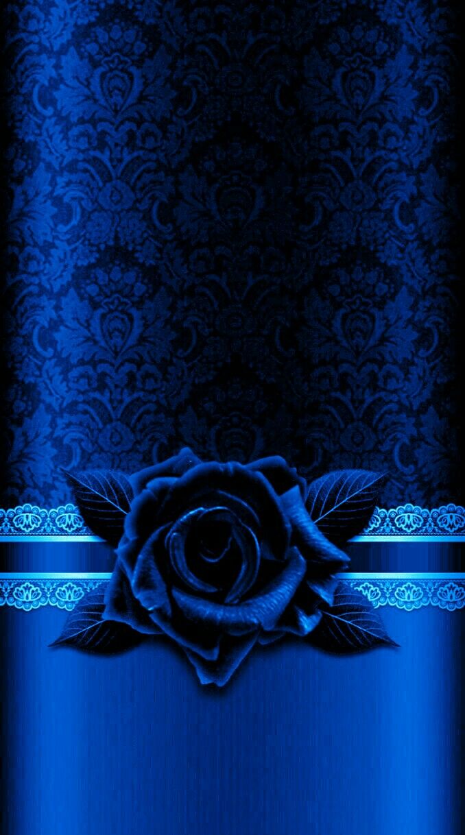 678x1218  Pin by 임클라 on Blue | Blue roses wallpaper, Blue pictures, Blue wallpapers