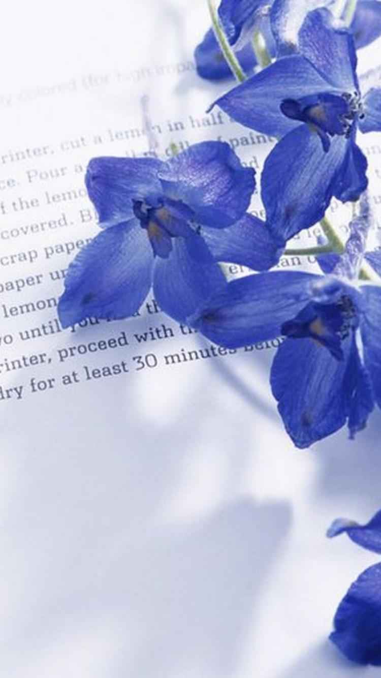 750x1334  Pin by Iyan Sofyan on Flowers + | Best flower wallpaper, Blue flower  wallpaper, Spring wallpaper