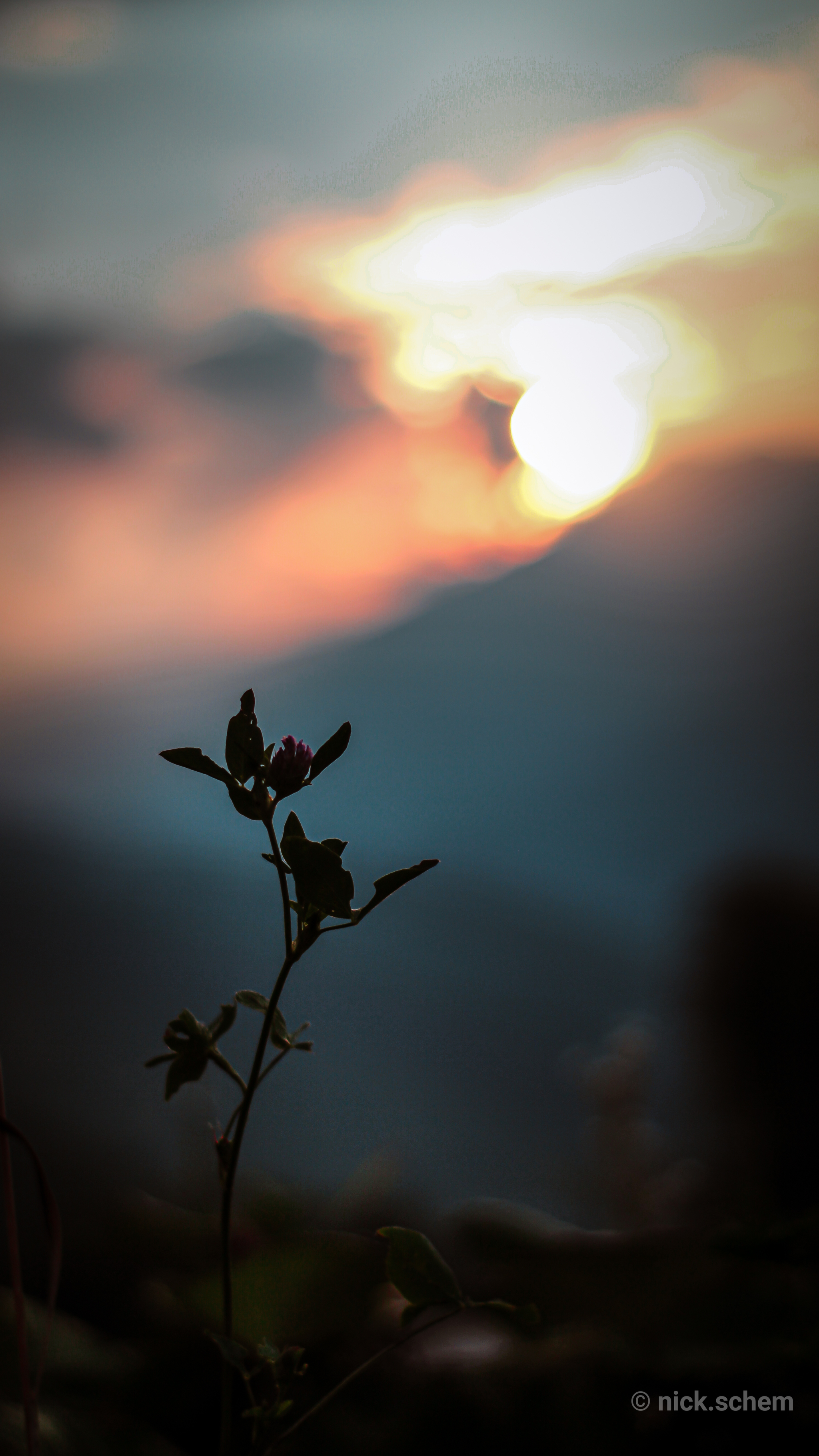 2048x3641  Обои для смартфона | Пикабу