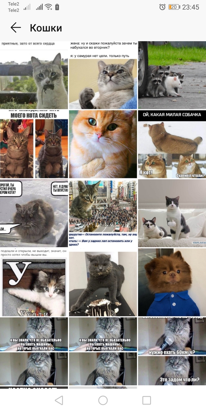 700x1400  Картинки, Телефон: подборки картинок, поздравительные картинки, смешные  картинки — Горячее, страница 8 | Пикабу