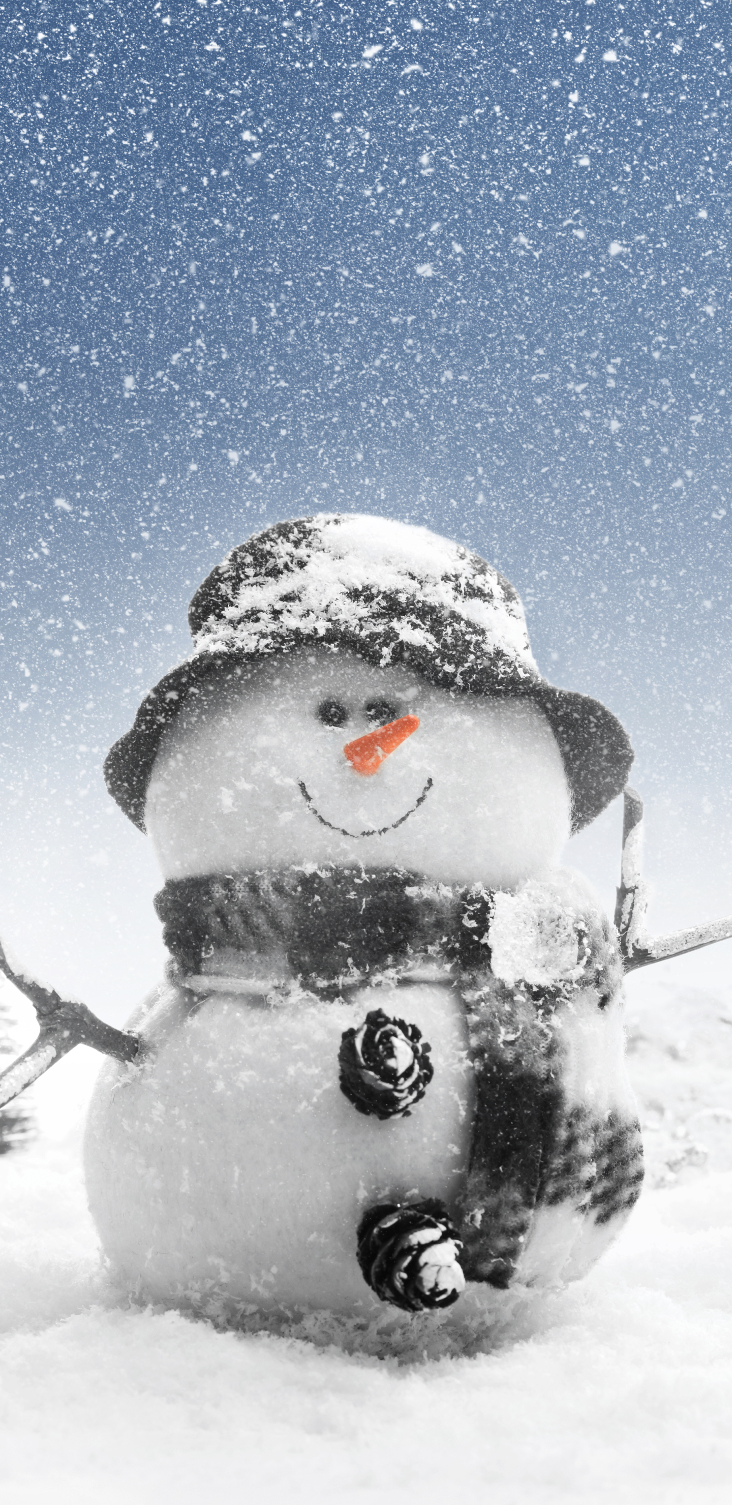 1440x2960  Обои на телефон: Зима, Снег, Снеговик, Фотографии, Снегопад, 1315004  скачать картинку бесплатно.