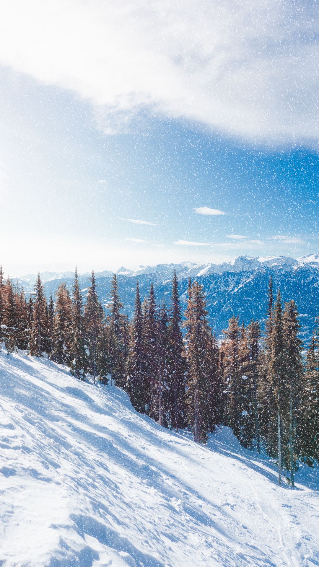 1080x1920  Скачать 1080x1920 снег, склон, горы, зима, деревья, снегопад обои, картинки  samsung galaxy s4, s5, note, sony xperia z, z1, z2, z3, htc one, lenovo vibe
