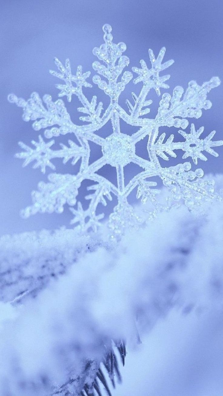 736x1309  Pin by Лариса Шрамова on обои | Winter background, Winter wallpaper, Winter  snow wallpaper