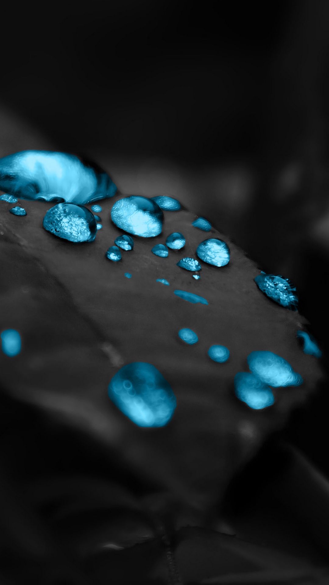 1080x1920  Скачать 1080x1920 капли, лист, фотошоп, роса обои, картинки samsung galaxy  s4, s5, note, sony xperia z, z1, z2, z3, htc one, lenovo vibe