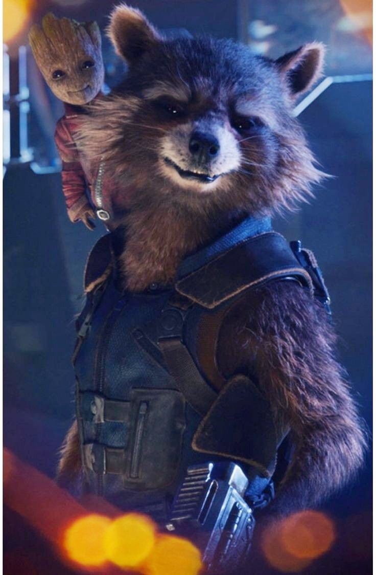 736x1124  Pin by Marcelo Garcia on Marvel | Rocket raccoon, Guardians of the galaxy  vol 2, Guardians of the galaxy