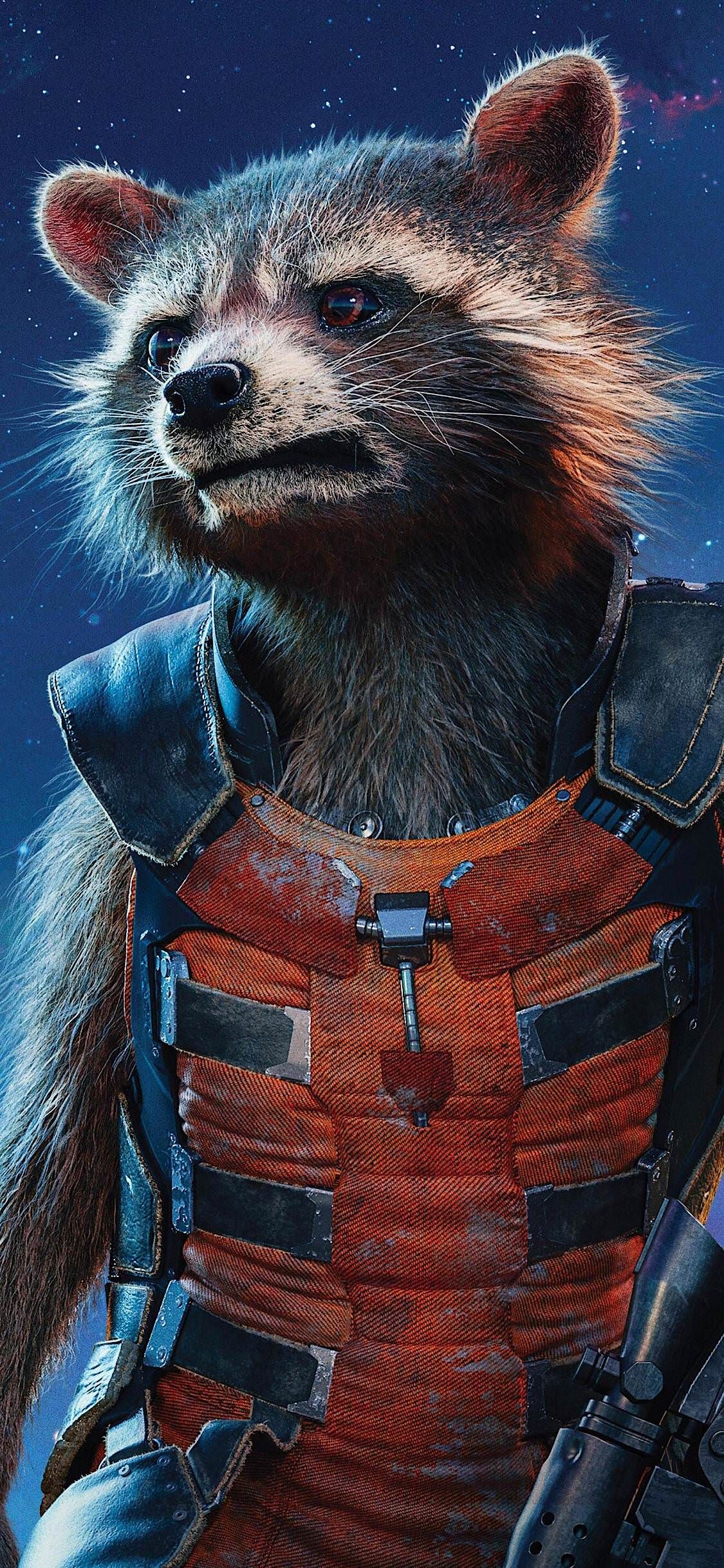 1125x2436  Обои на Телефон in 2023 | Rocky raccoon, Raccoon tattoo, Rocket raccoon