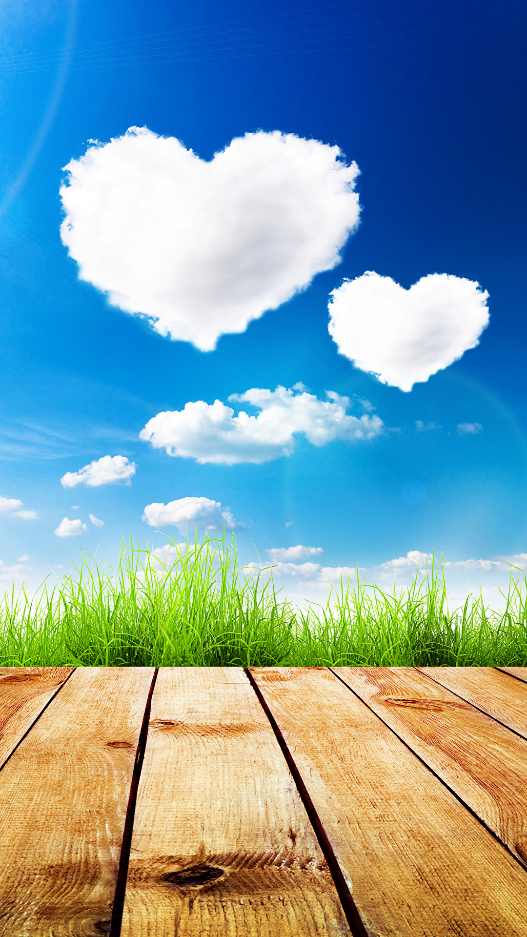 1080x1920  Фото День святого Валентина Сердце Природа Небо Трава 1080x1920