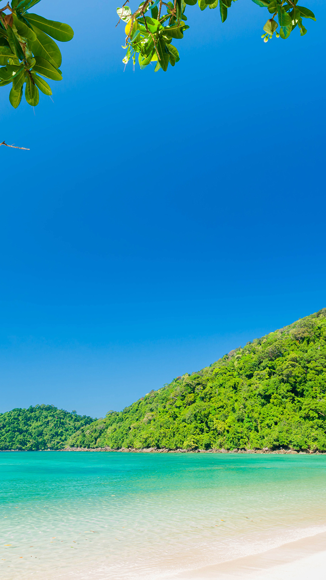 1080x1920  Фото Bahamas Природа Тропики берег 1080x1920