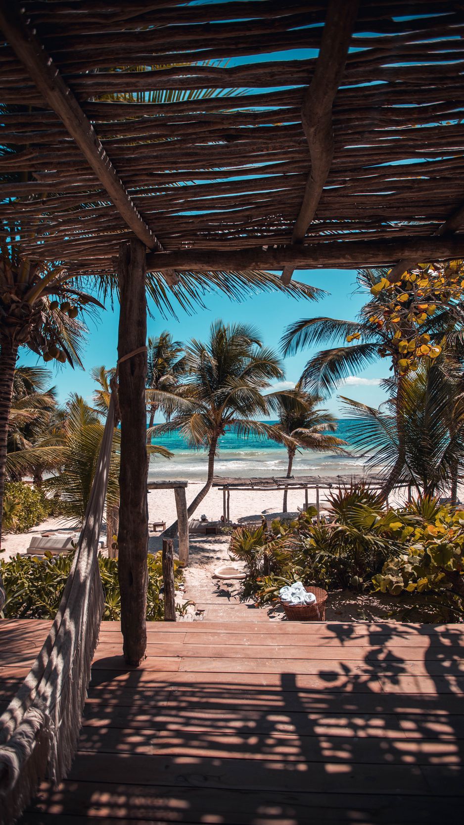 938x1668  Скачать 938x1668 пляж, пальмы, лето, тропики, отдых обои, картинки iphone  8/7/6s/6 for parallax