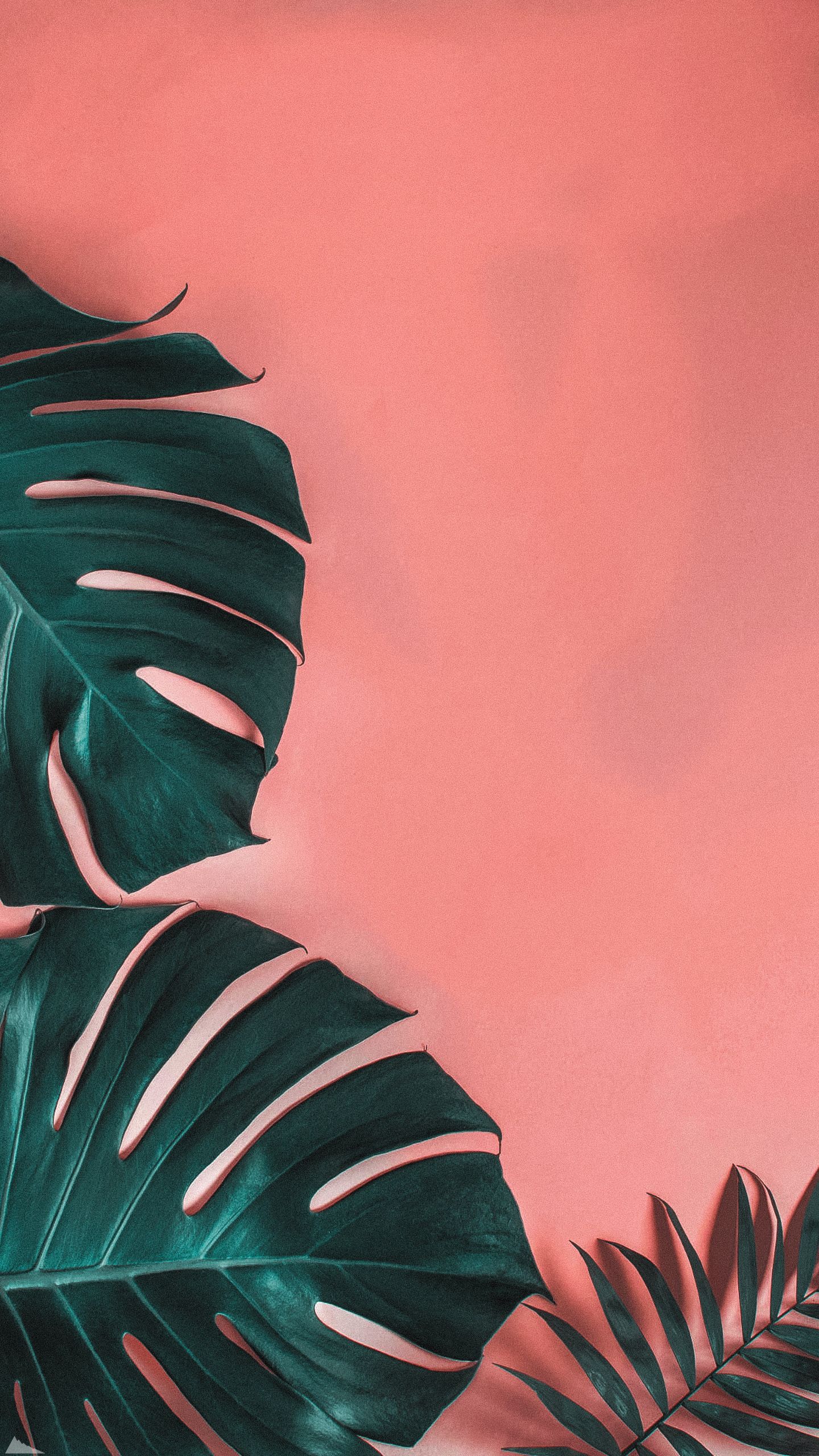 1440x2560  Pin by Alina_aa on Обои для телефона | Leaves wallpaper iphone, Plant  wallpaper, Art wallpaper iphone