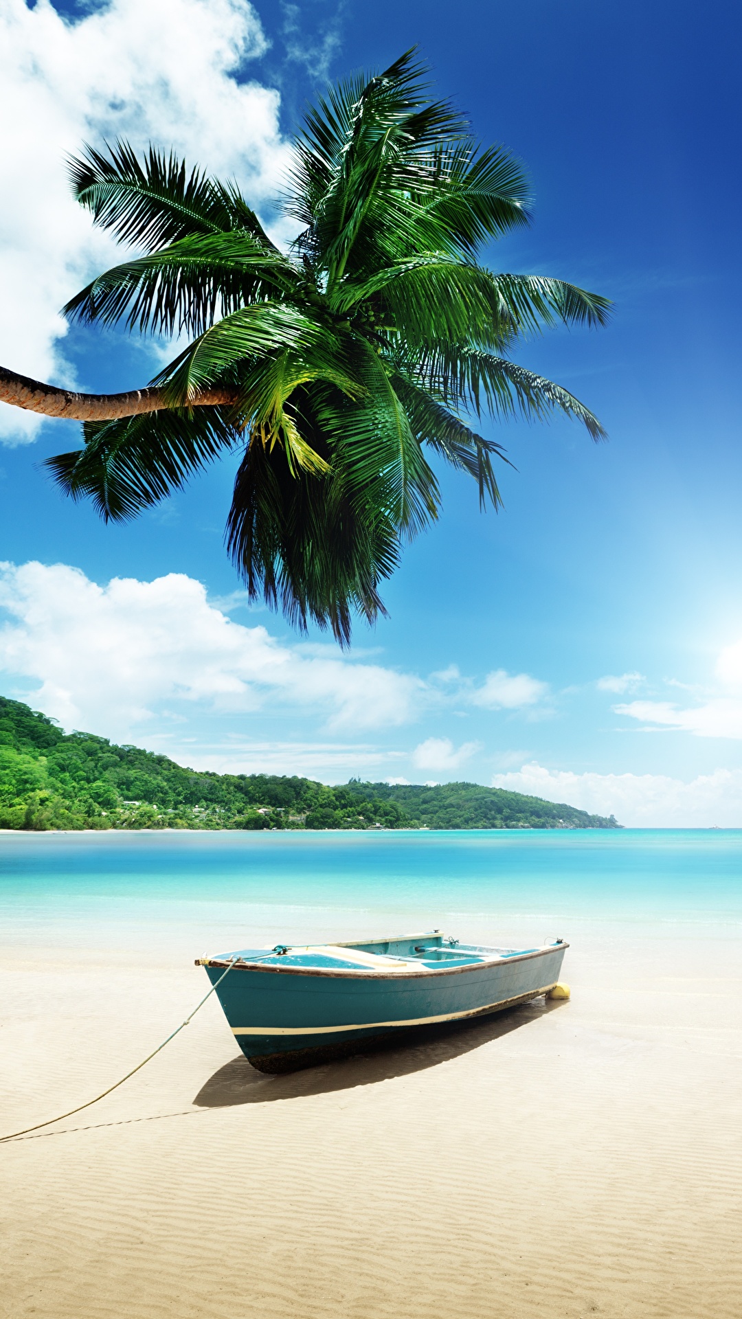 1080x1920  Обои для рабочего стола пляжи Природа Небо Пальмы 1080x1920