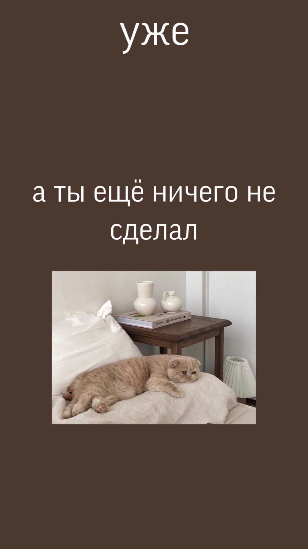 1079x1920  Пин от пользователя Fancy Fantasy на доске Обои на телефон | Обои для  рабочего стола компьютера, Мас обои, Веселые обои