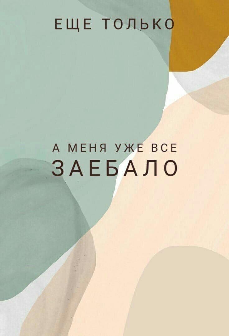 736x1082  Картинки до телефона/кот/ котик/животные/ обои на телефон/ картинки для  сторис | Картинки, Новые татуировки, Фоновые рисунки