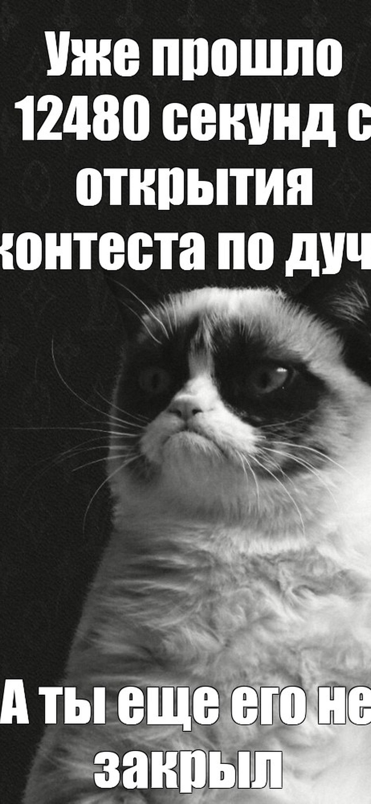 1284x2778  Уже а ты | Веселые обои, Мас обои, Камуфляжные обои