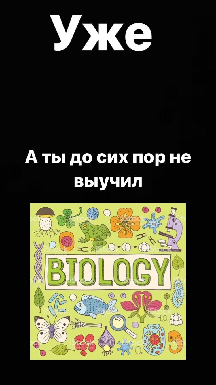 750x1334  Фото на заставку: истории из жизни, советы, новости, юмор и картинки — Все  посты, страница 44 | Пикабу