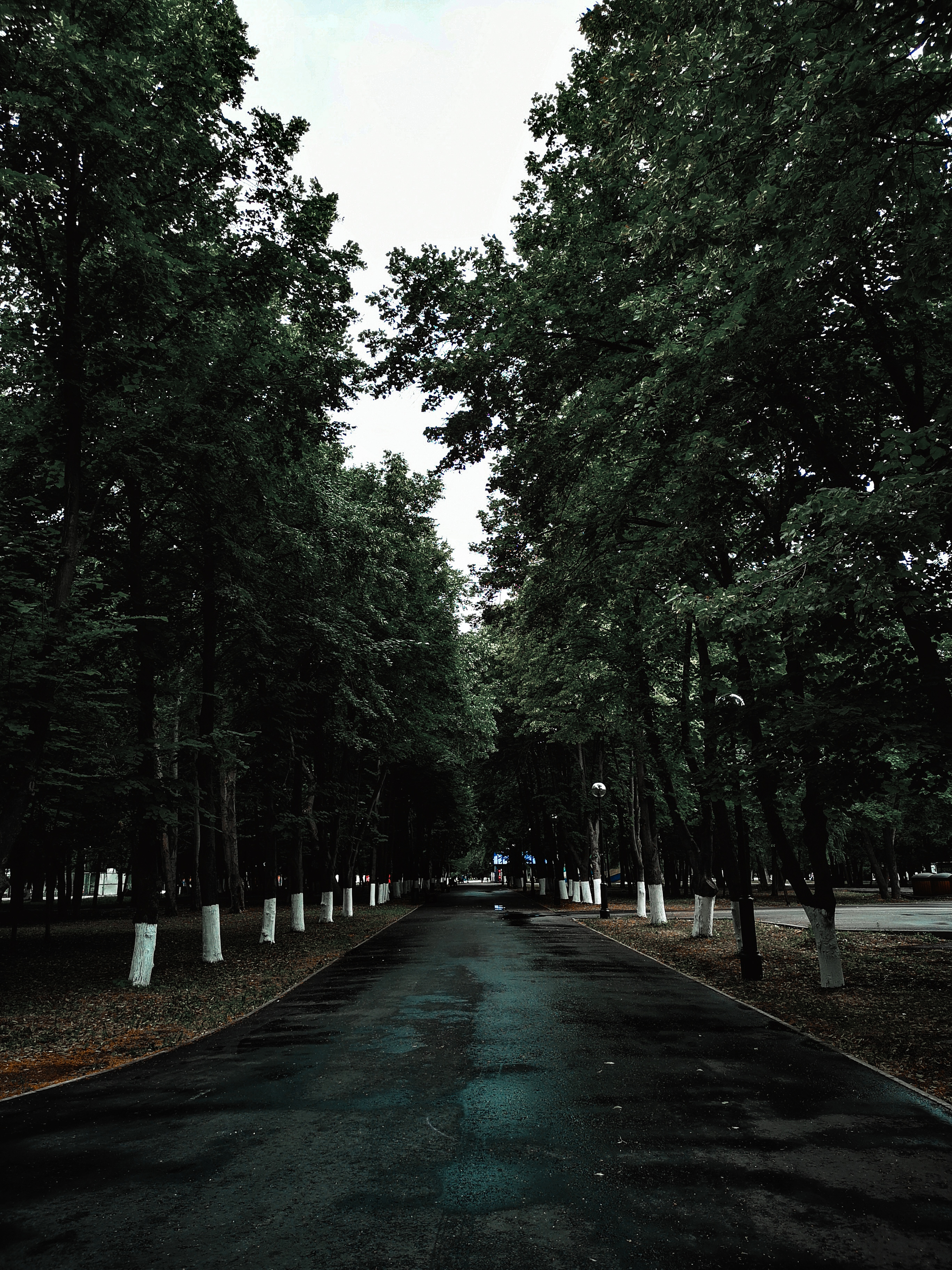 2048x2731  Обои для телефона | Пикабу