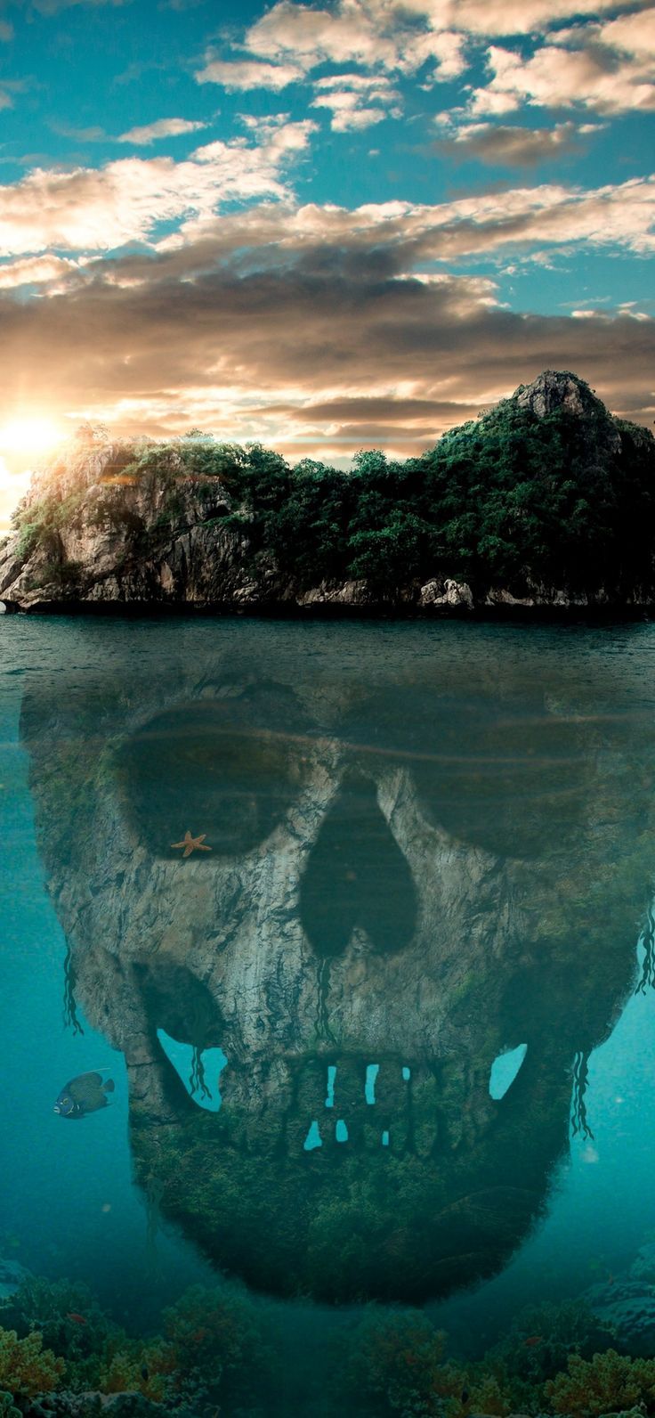 736x1592  Пин на доске обои