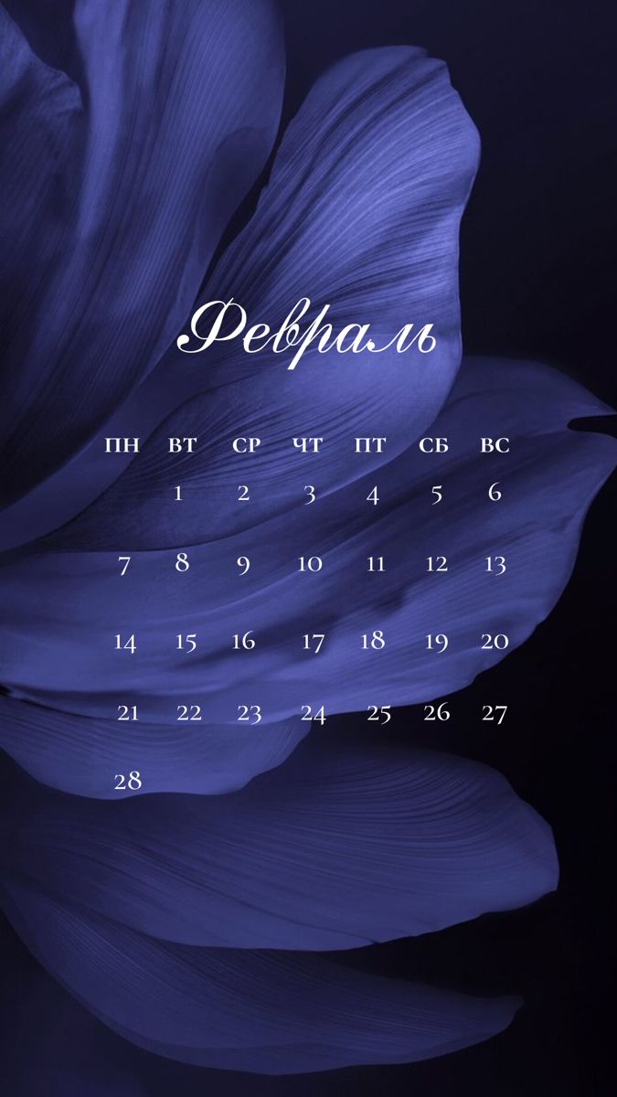 675x1200  Календарь февраль 2022 обои на телефон | Ежемесячные календари, Календарь,  Открытки