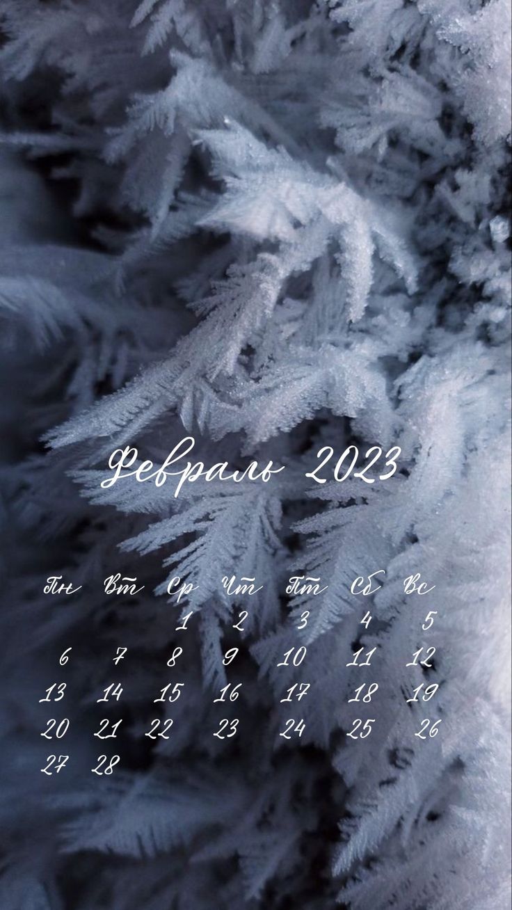 736x1308  Февраль 2023, планер, календарь 2023, ежедневник, обои, фон календарь,  планирование , расписание, Fe в 2023 г | Календарь, Февраль, Цитаты лидера