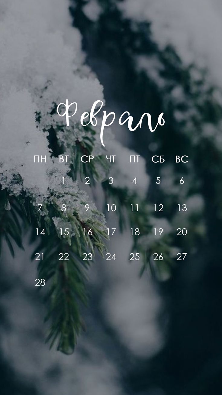 735x1307  Обои доброго утра в феврале на телефон