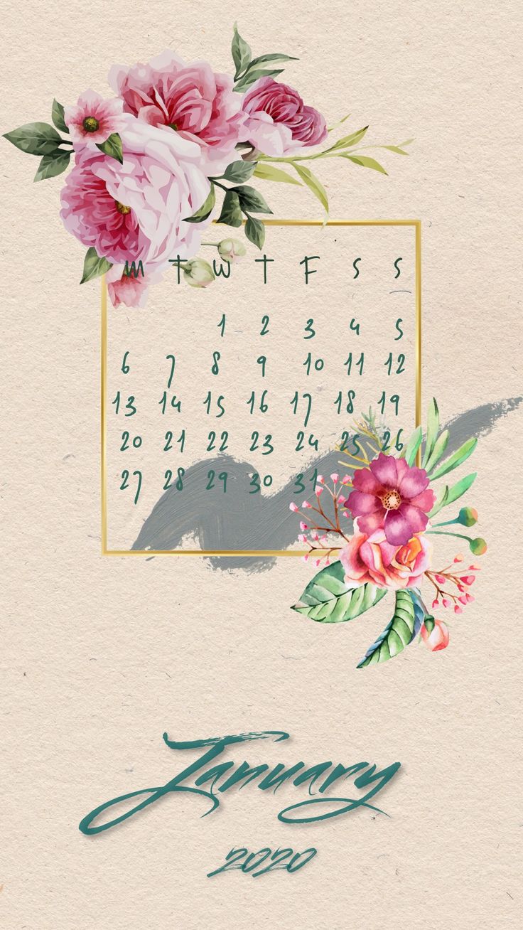 736x1308  calendar January 2020 | Фламинго обои, Розовые обои, Обои фоны