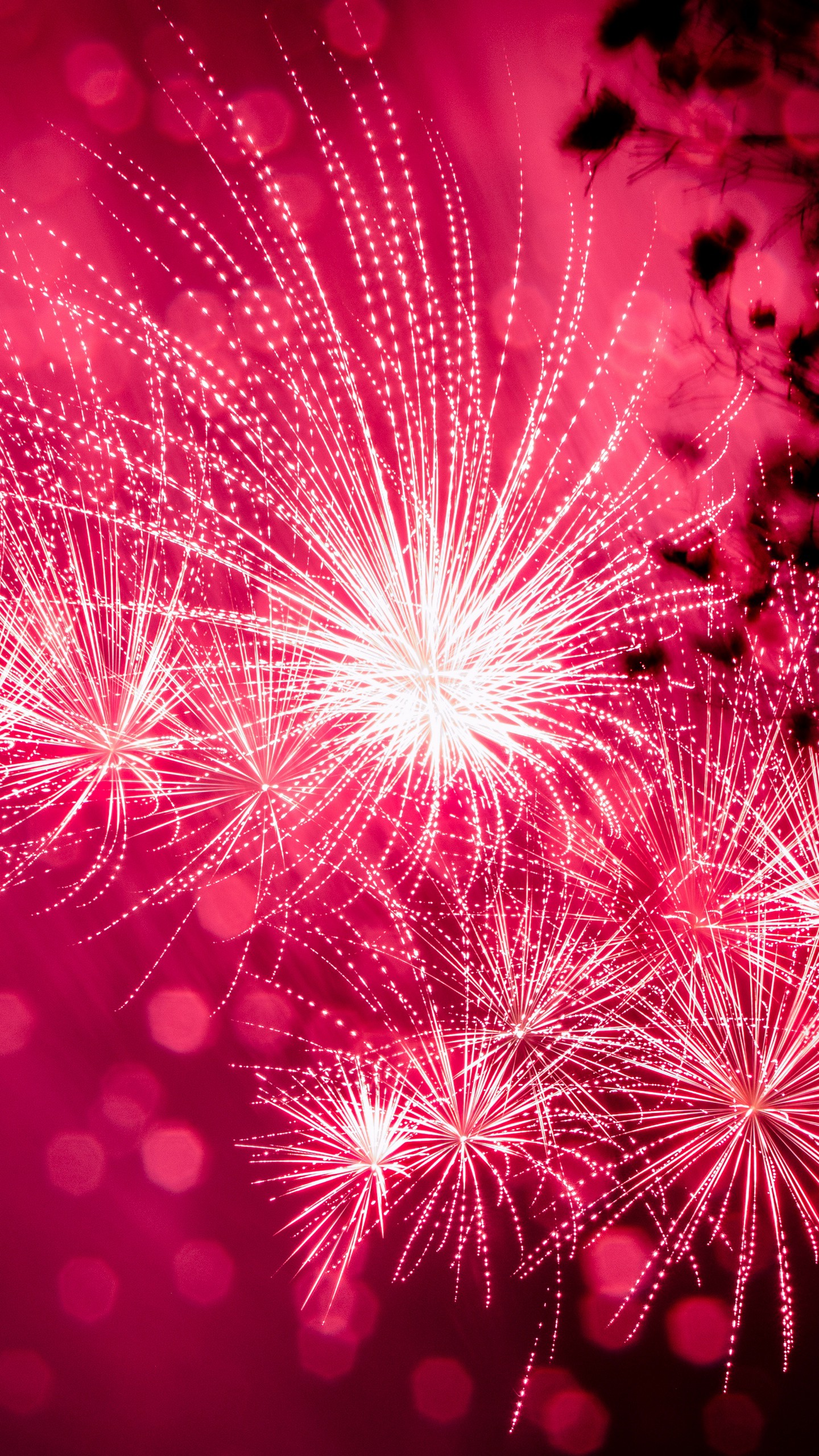 1440x2560  Обои на телефон салют, фейерверк, праздник, искры, розовый - скачать  бесплатно в высоком качестве из категории \"Праздники\"