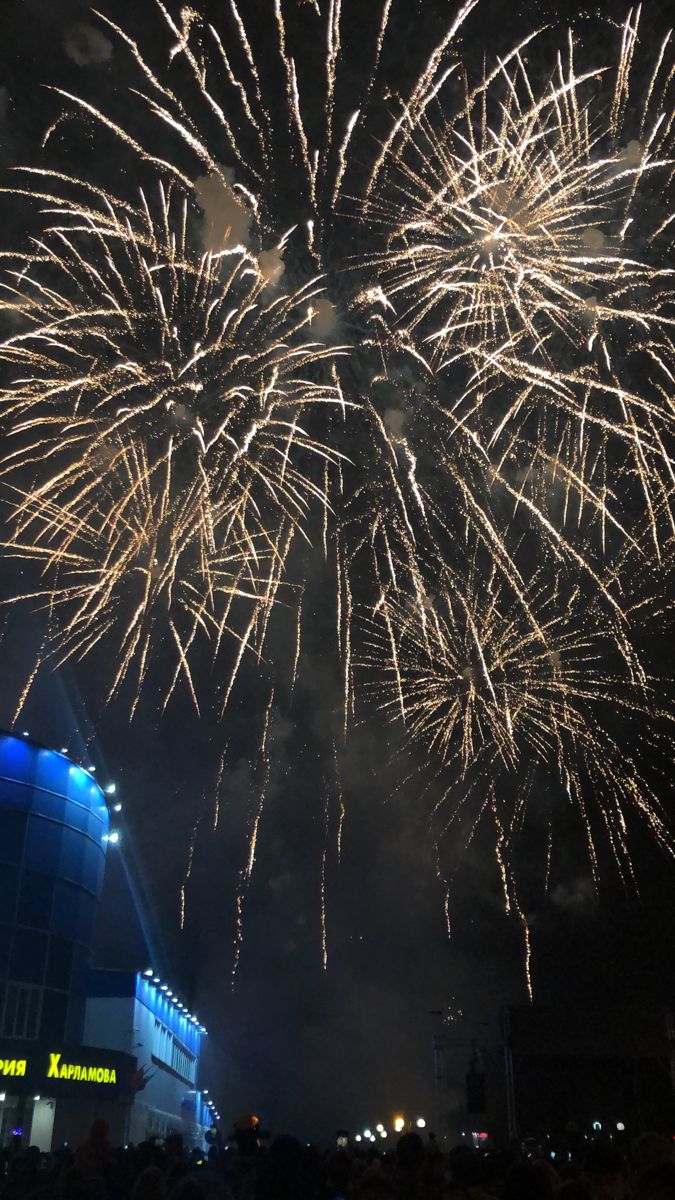 675x1200  Салют 🎇 в 2023 г | Сохён, Обои, Рысь