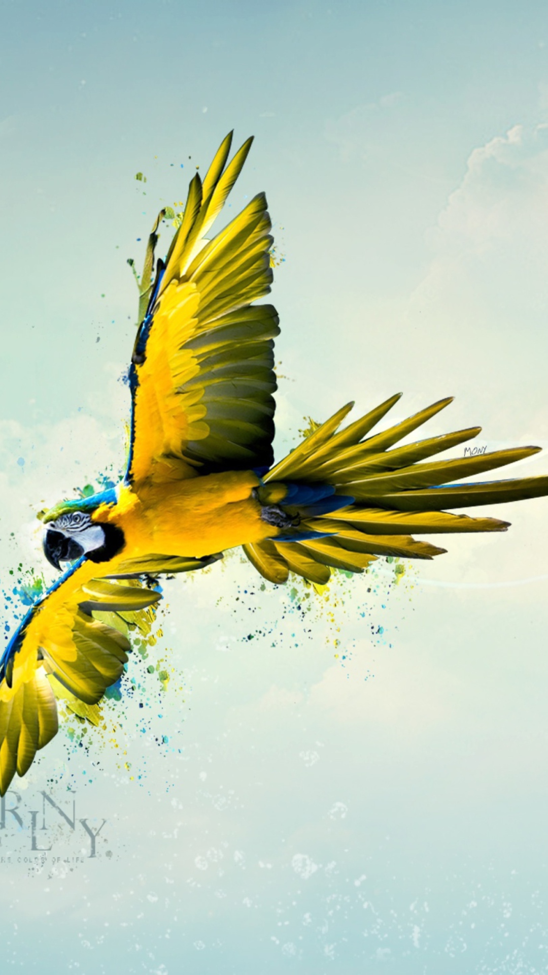 1080x1920  Картинка Born To Fly для iPhone 6 Plus