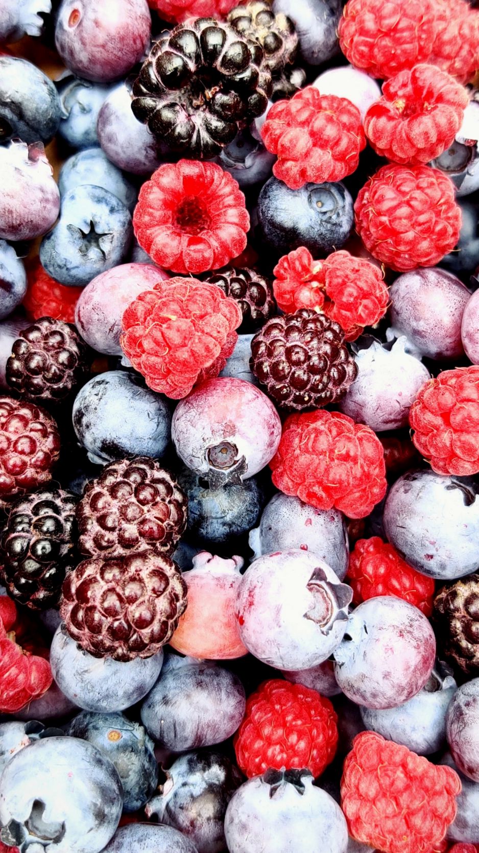938x1668  Скачать 938x1668 черника, малина, ягоды, фрукты обои, картинки iphone  8/7/6s/6 for parallax