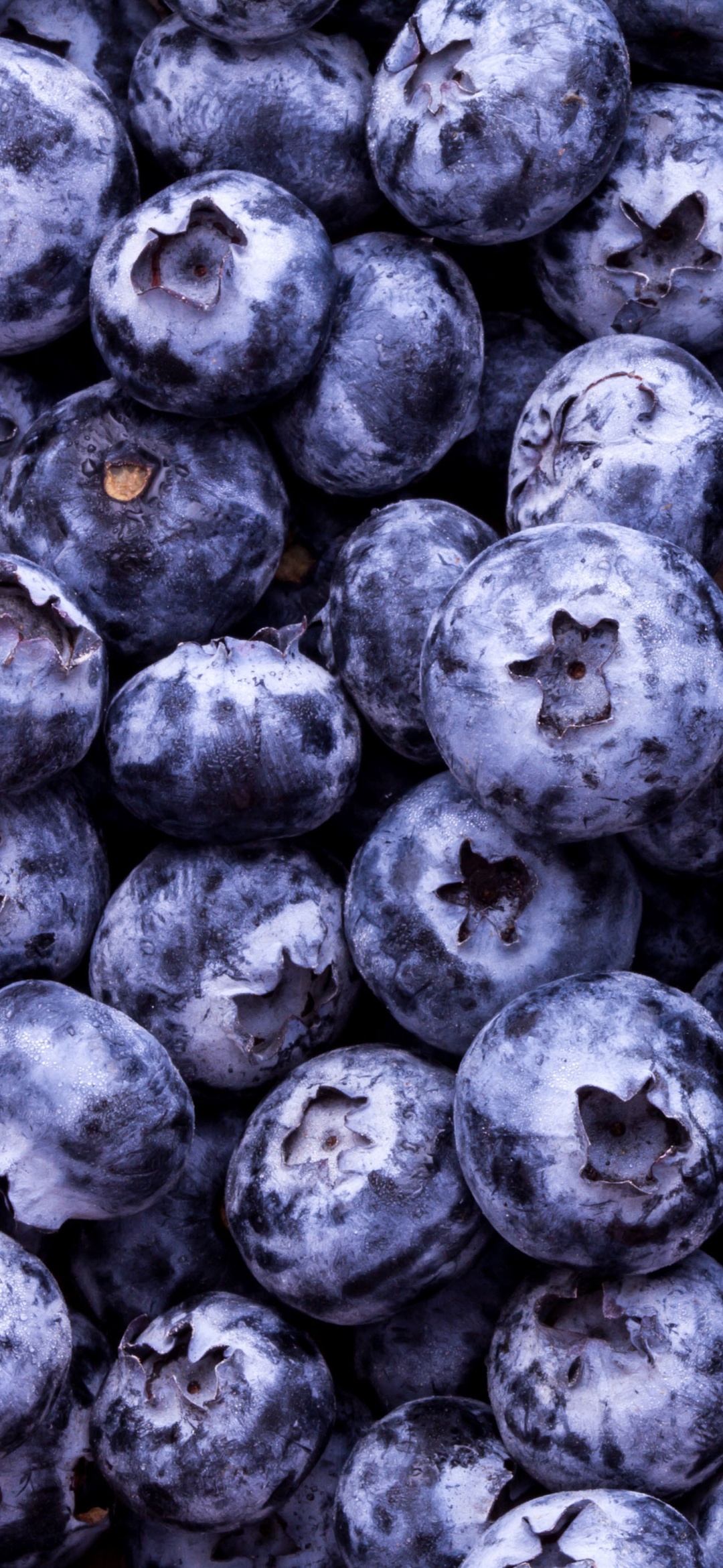 1080x2340  Обои ягоды, фрукты, кофе, пища, растение - картинка на рабочий стол и фото  бесплатно